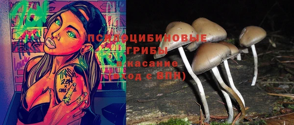 МДПВ Гусиноозёрск