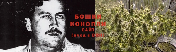 бошки Гусь-Хрустальный