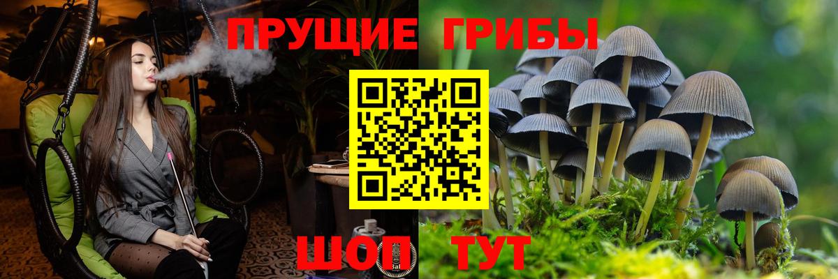 Москва  Псилоцибиновые грибы MAGIC MUSHROOMS  купить наркотик  Псилоцибиновые грибы Psilocybe  Вход с VPN 